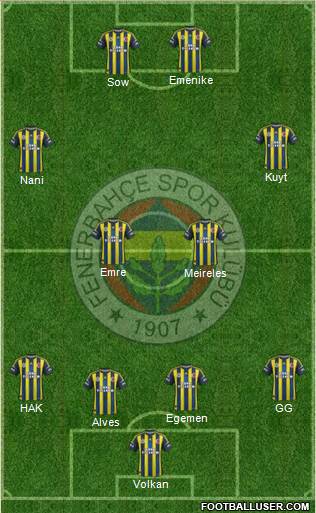 Fenerbahçe SK Formation 2013