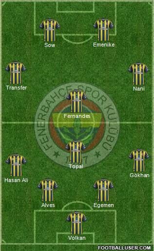 Fenerbahçe SK Formation 2013