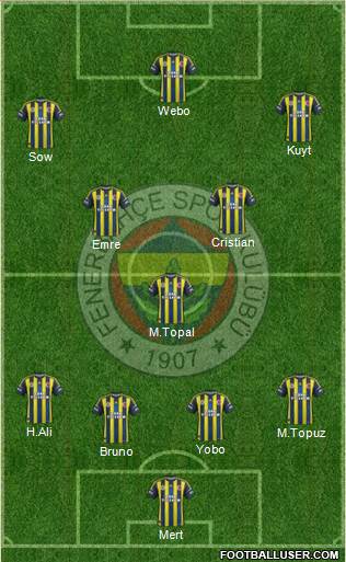 Fenerbahçe SK Formation 2013