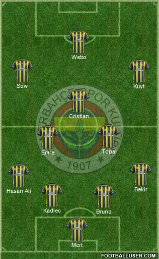 Fenerbahçe SK Formation 2013