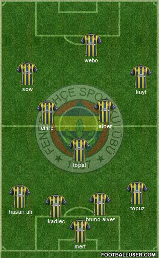 Fenerbahçe SK Formation 2013