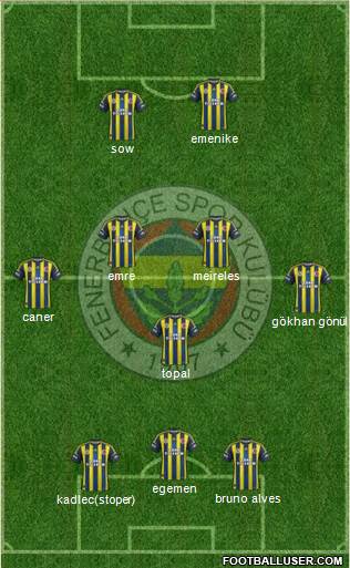 Fenerbahçe SK Formation 2013