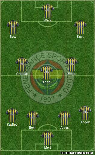 Fenerbahçe SK Formation 2013