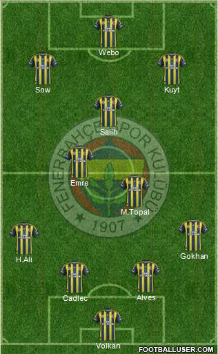 Fenerbahçe SK Formation 2013