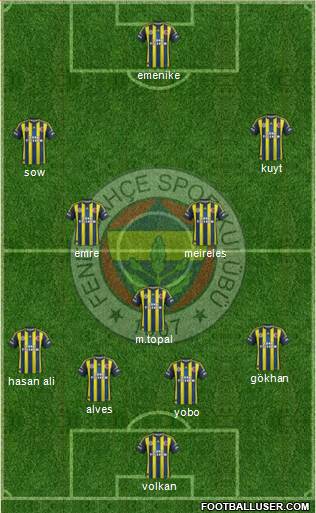 Fenerbahçe SK Formation 2013