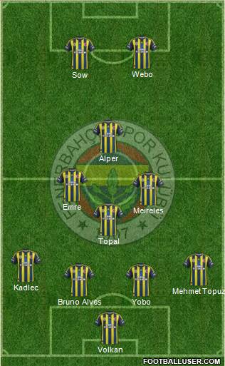 Fenerbahçe SK Formation 2013