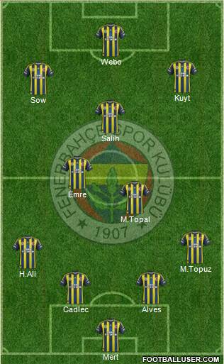 Fenerbahçe SK Formation 2013