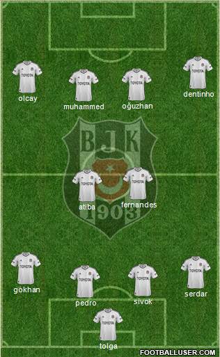 Besiktas JK Formation 2013