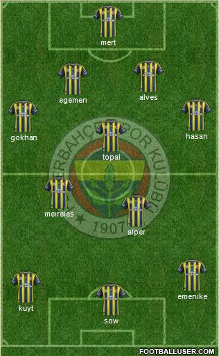 Fenerbahçe SK Formation 2013