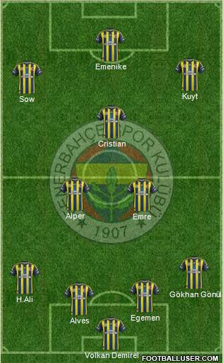 Fenerbahçe SK Formation 2013