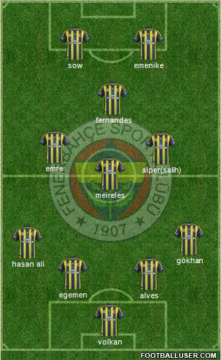 Fenerbahçe SK Formation 2013