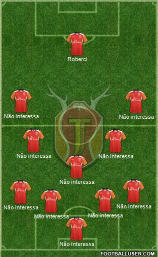 Jeju United Formation 2013