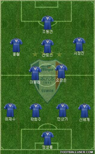 Suwon Samsung Blue Wings Formation 2013