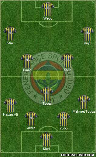 Fenerbahçe SK Formation 2013