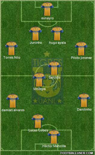 Club Universitario de Nuevo León Formation 2013