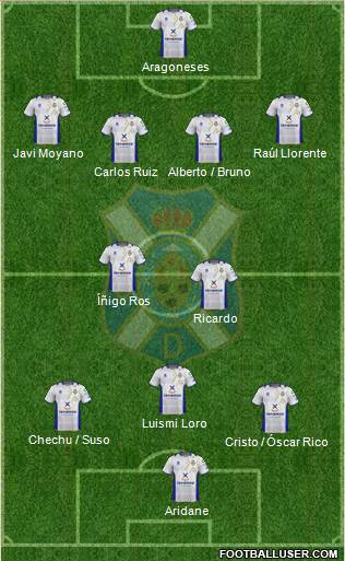 C.D. Tenerife S.A.D. Formation 2013