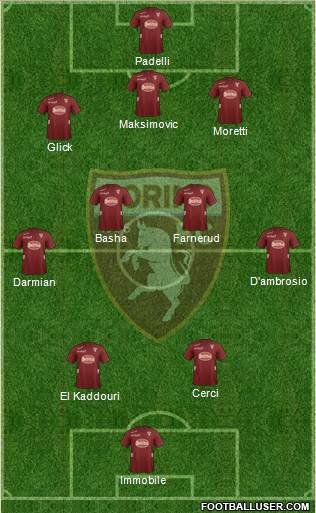 Torino Formation 2013