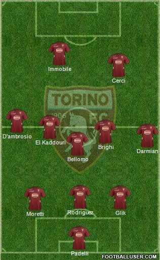 Torino Formation 2013