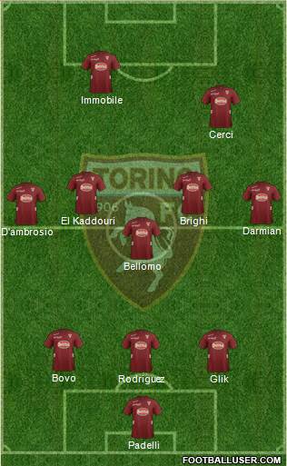 Torino Formation 2013