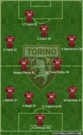 Torino Formation 2013