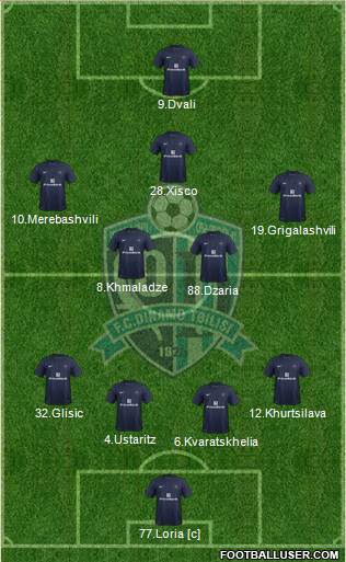 Dinamo Tbilisi Formation 2013