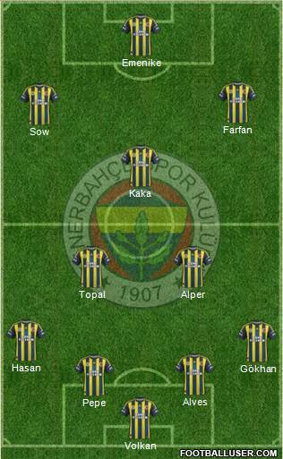 Fenerbahçe SK Formation 2013