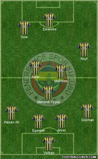 Fenerbahçe SK Formation 2013