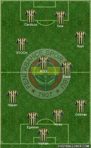 Fenerbahçe SK Formation 2013