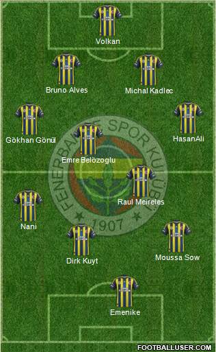 Fenerbahçe SK Formation 2013