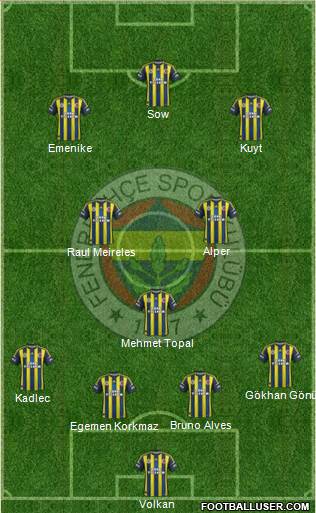 Fenerbahçe SK Formation 2013