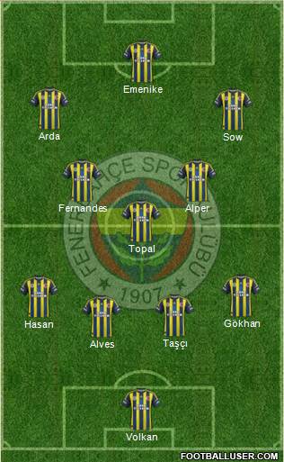 Fenerbahçe SK Formation 2013