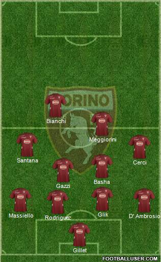 Torino Formation 2013