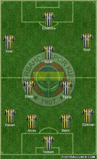 Fenerbahçe SK Formation 2013