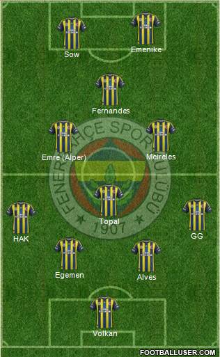 Fenerbahçe SK Formation 2013