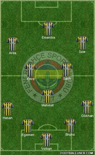 Fenerbahçe SK Formation 2013