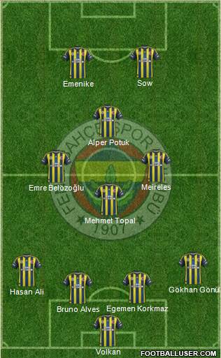 Fenerbahçe SK Formation 2013