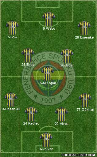 Fenerbahçe SK Formation 2013