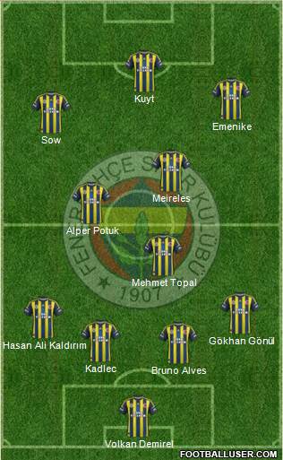 Fenerbahçe SK Formation 2013