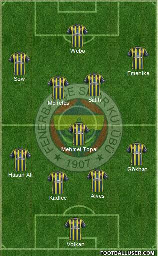 Fenerbahçe SK Formation 2013