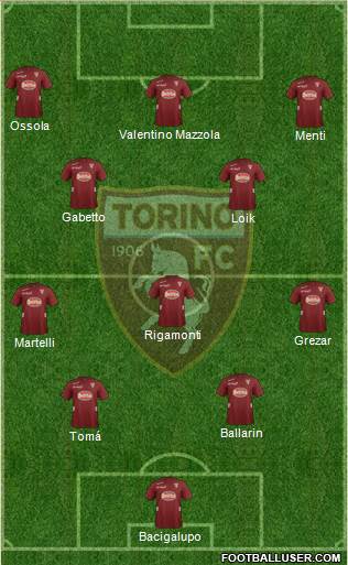 Torino Formation 2013