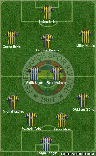 Fenerbahçe SK Formation 2013