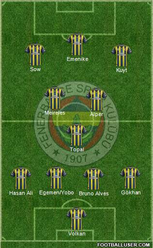 Fenerbahçe SK Formation 2013