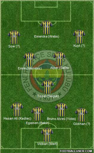 Fenerbahçe SK Formation 2013