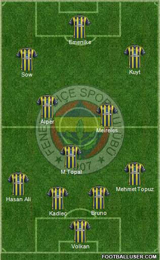 Fenerbahçe SK Formation 2013