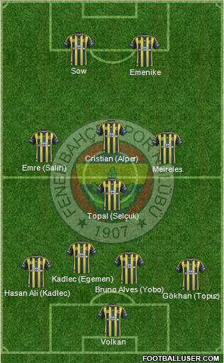 Fenerbahçe SK Formation 2013