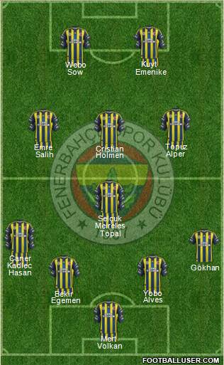 Fenerbahçe SK Formation 2013