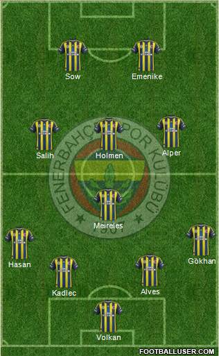 Fenerbahçe SK Formation 2013