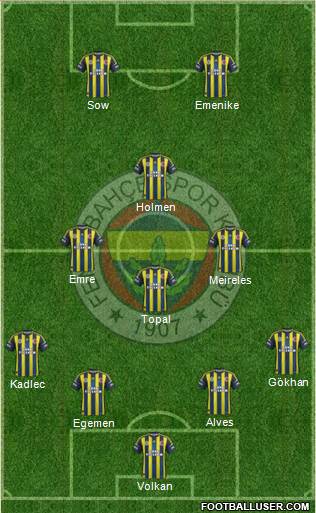 Fenerbahçe SK Formation 2013