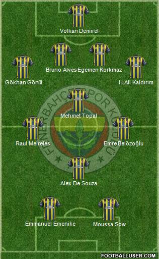 Fenerbahçe SK Formation 2013