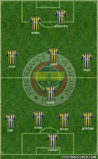 Fenerbahçe SK Formation 2013